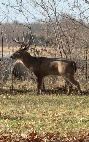 $550,000 | 4033 West 367th Street, Louisburg, KS 66053