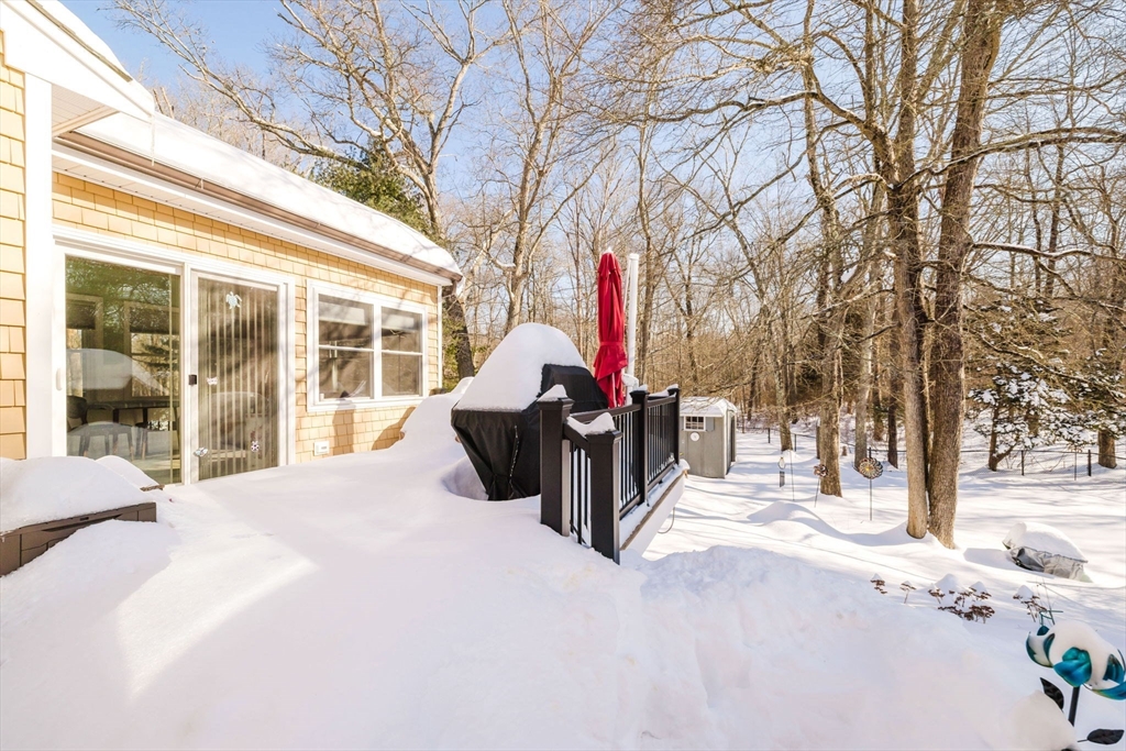 185 Moulton Street Rehoboth, MA 02769 - Photo 34 of 40 a view of a backyard with a snow on the road