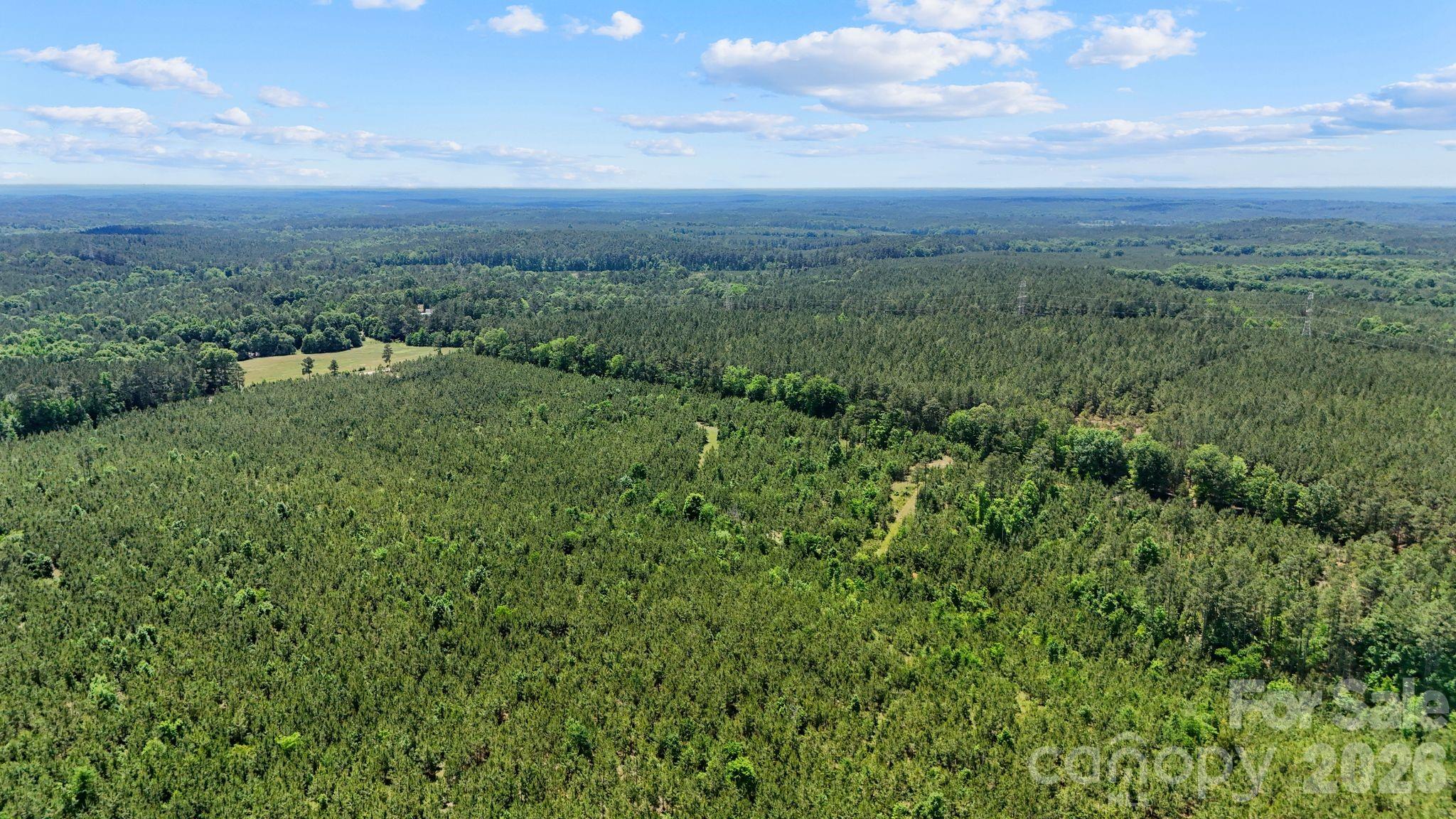 0 Cool Branch Road, Unit 1 Carlisle, SC 29031 - Photo 5 of 45 Gallery Image 5