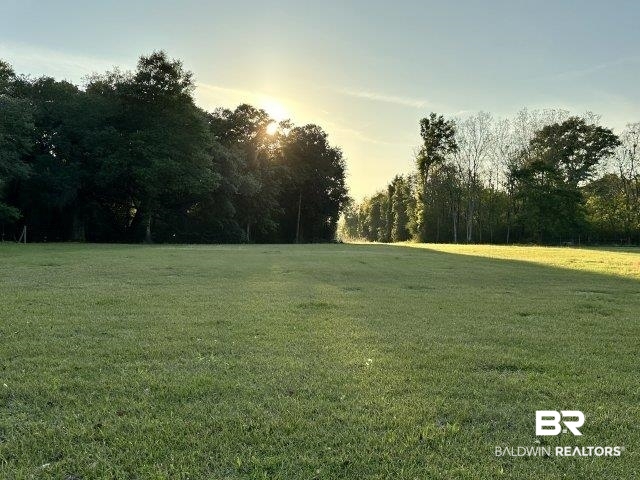 0 Wilmer Road Wilmer, AL 36587 - Photo 1 of 28