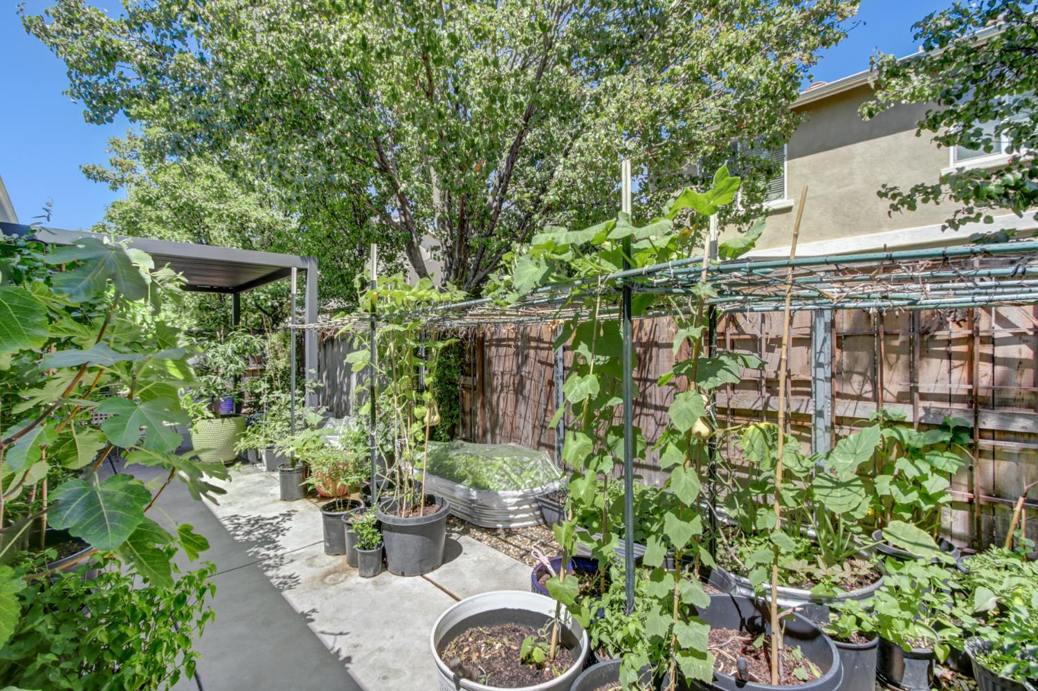 2272 Ellesmere Loop Roseville, CA 95747 - Photo 29 of 38