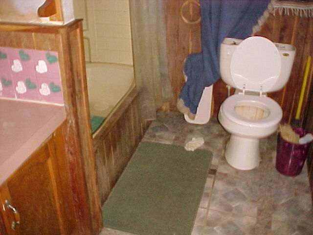 6140 Benton Road Jackson, MI 49201 - Photo 3 of 11 Photo 3