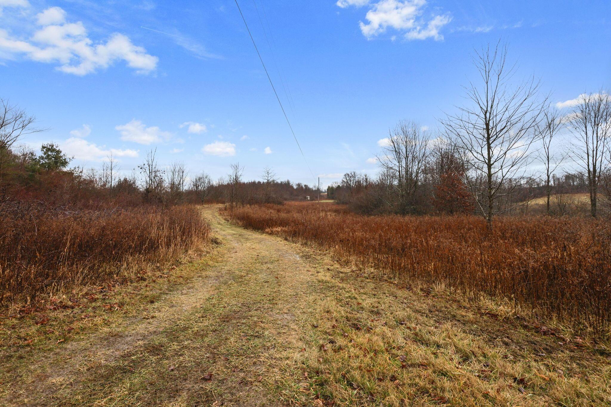 13747 Ash Road Newcomerstown, OH 43832 - Photo 23 of 36 22