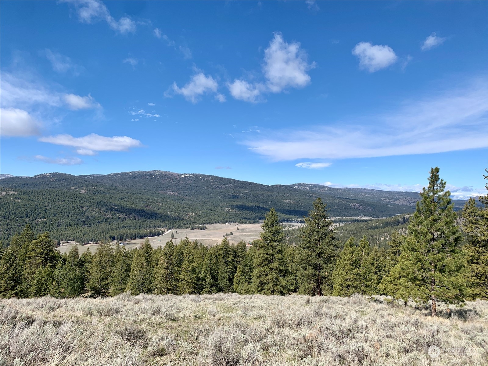 7 Buck Road Tonasket, WA 98855 - Photo 1 of 14 a view of lake with mountain