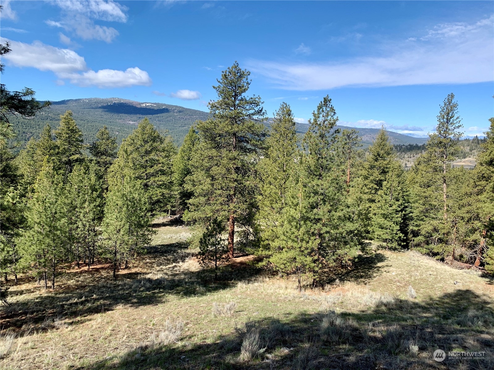 7 Buck Road Tonasket, WA 98855 - Photo 11 of 14 a view of a bunch of trees and houses