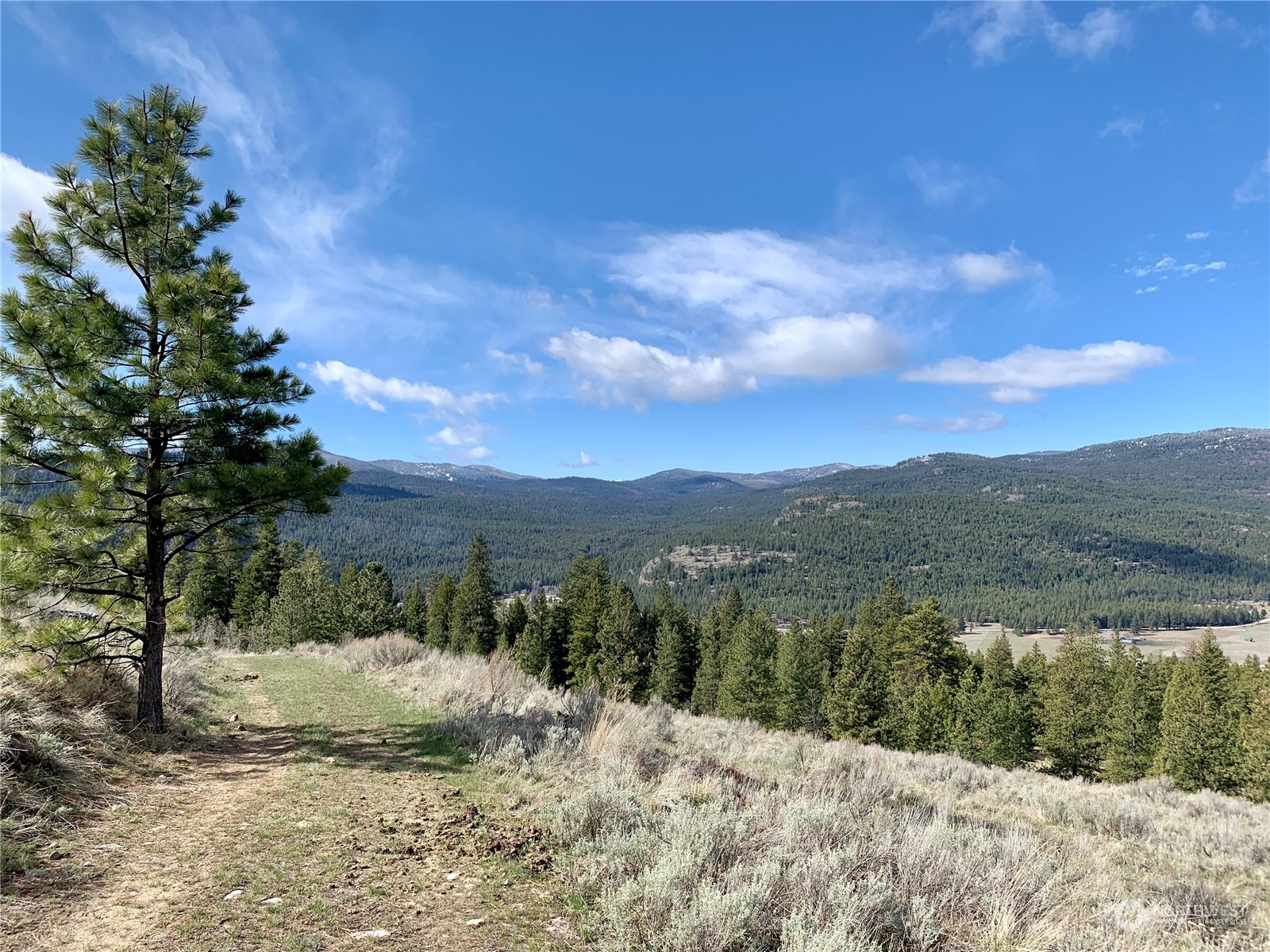 7 Buck Road Tonasket, WA 98855 - Photo 2 of 14 a view of a yard with a mountain