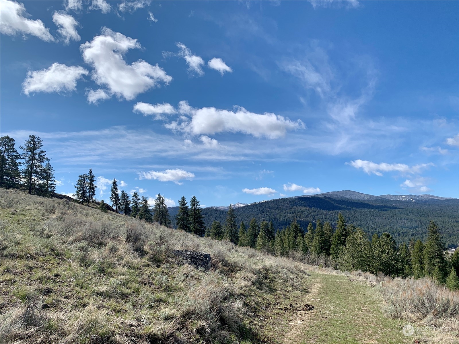 7 Buck Road Tonasket, WA 98855 - Photo 3 of 14 a view of a dry yard