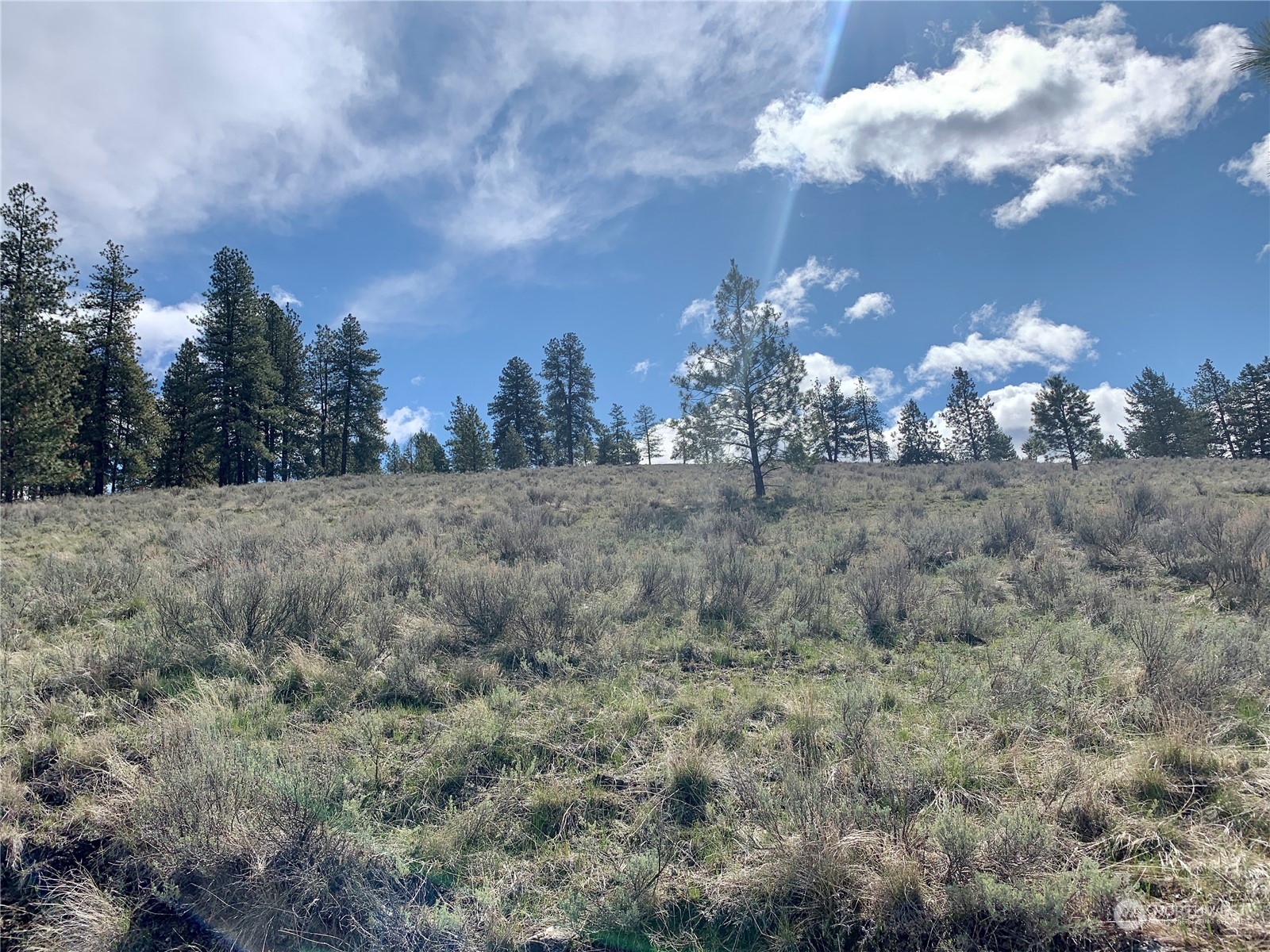7 Buck Road Tonasket, WA 98855 - Photo 5 of 14 a view of a big yard