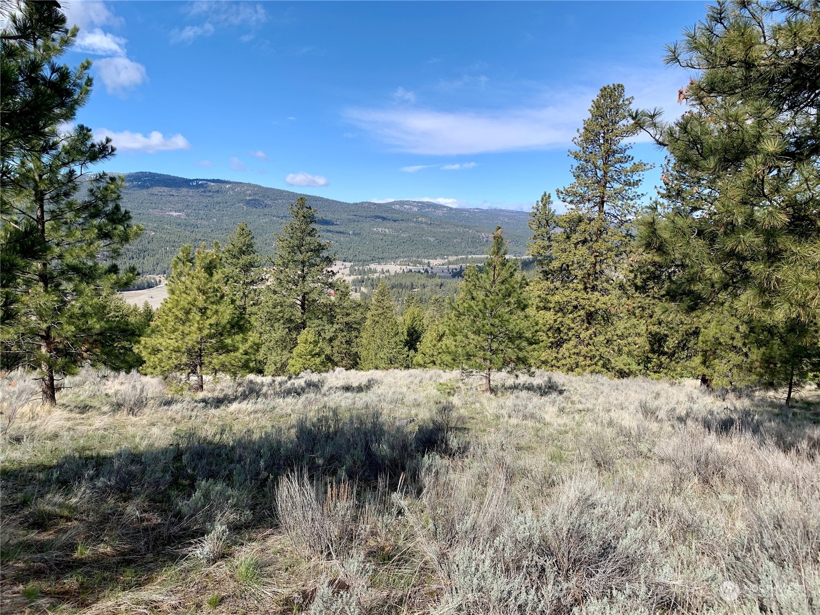 7 Buck Road Tonasket, WA 98855 - Photo 8 of 14 a view of a mountain with a yard