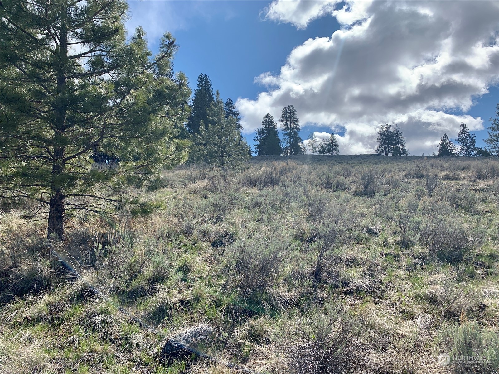 7 Buck Road Tonasket, WA 98855 - Photo 10 of 14 a view of a big yard