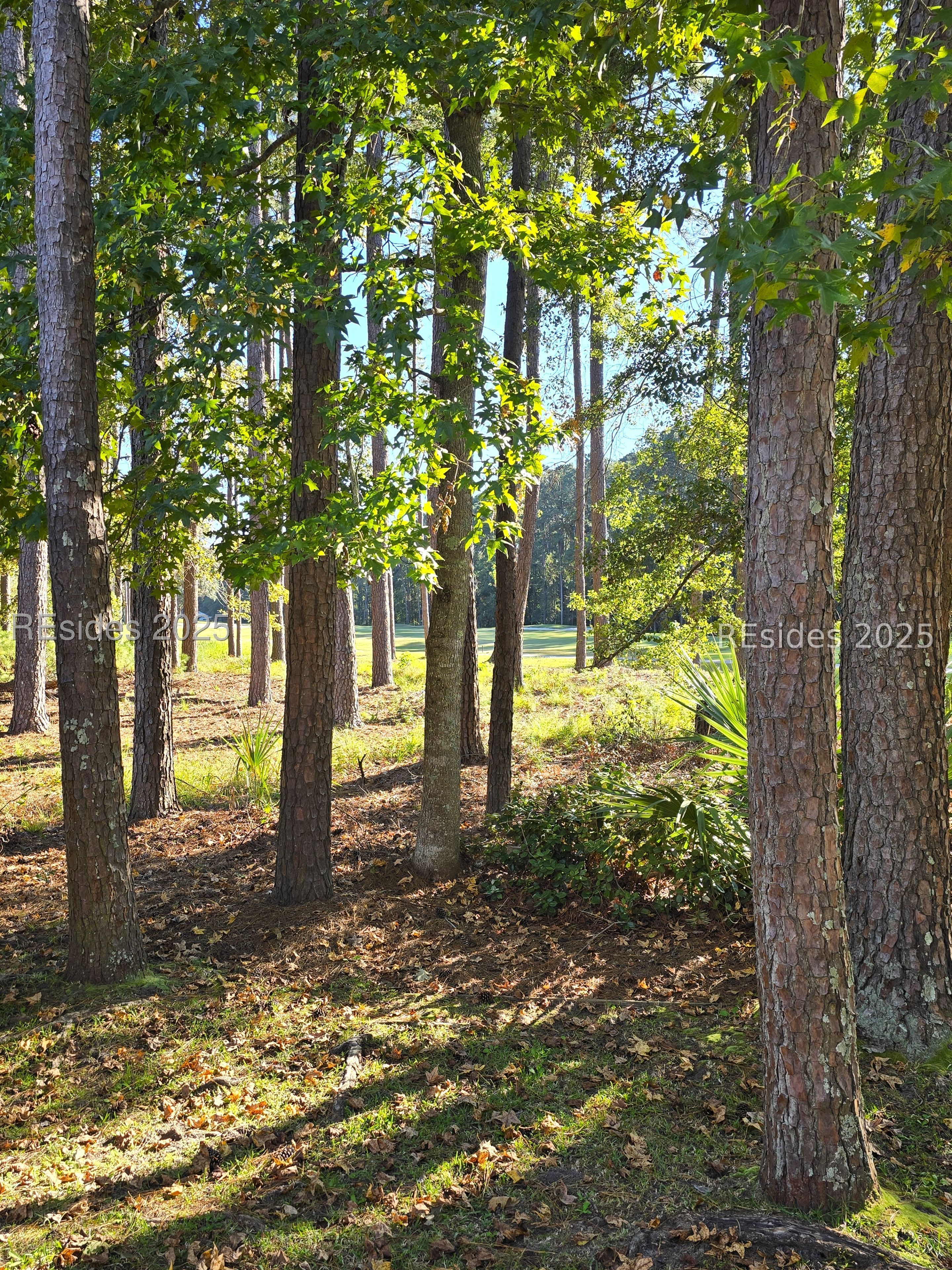109 General Drayton Street Bluffton, SC 29909 - Photo 55 of 66 Did I say golf views yet?