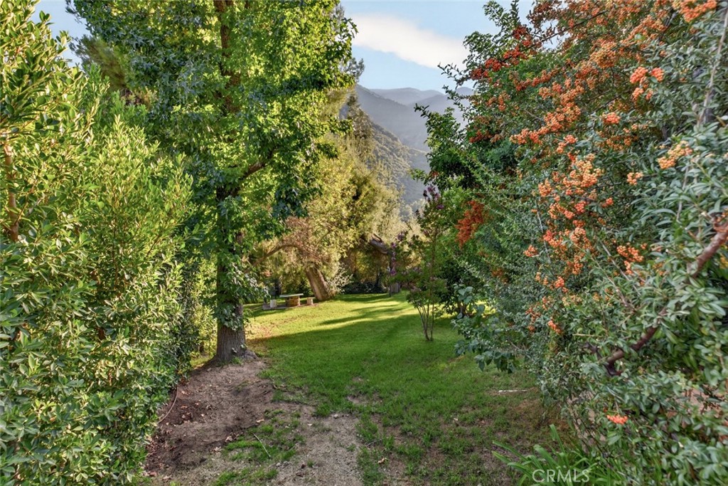 2311 Stonyvale Road Tujunga, CA 91042 - Photo 43 of 56 Gallery Image 43