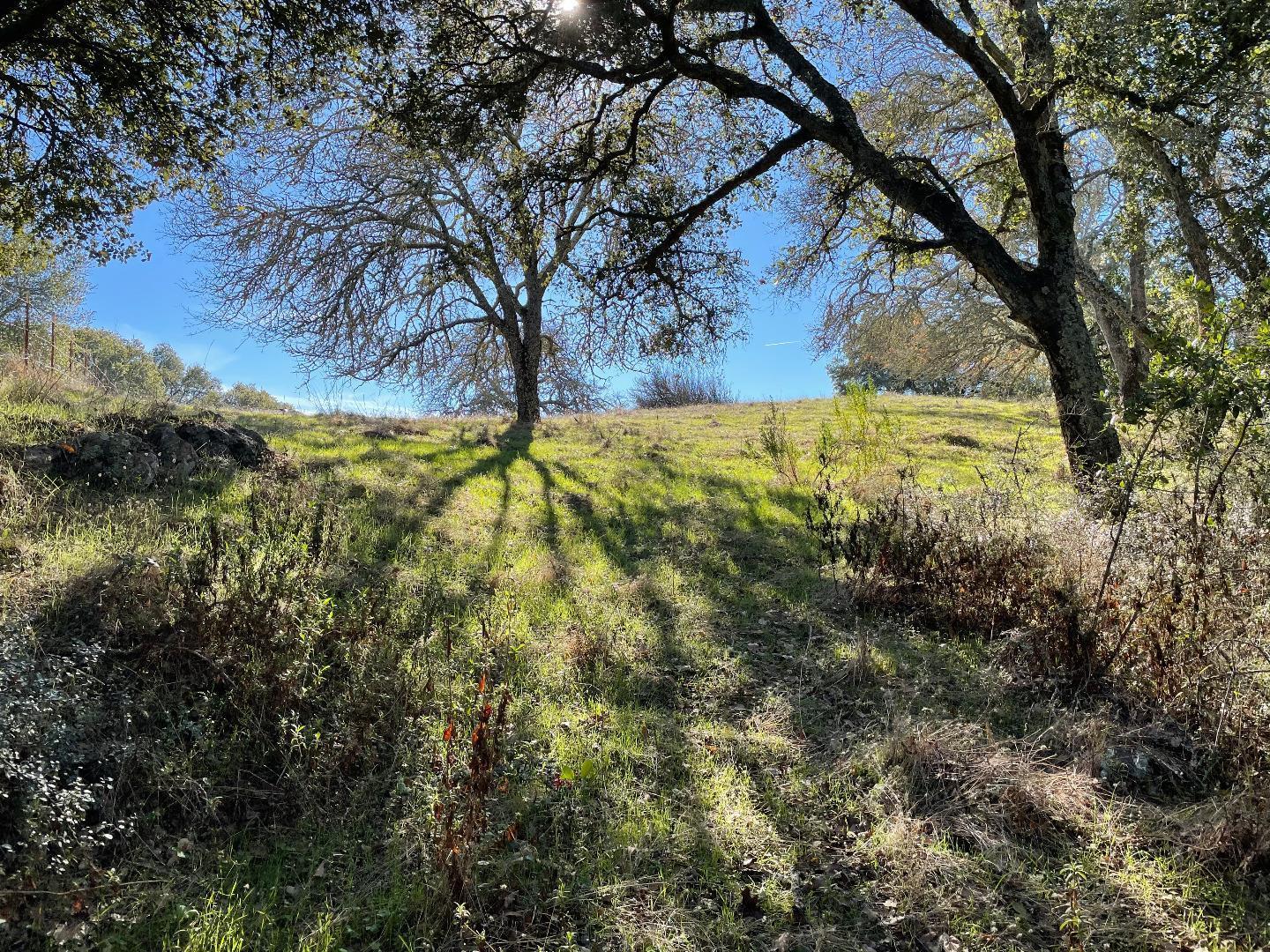 0 Poli Road Gilroy, CA 95020 - Photo 12 of 26 a view of yard covered with snow
