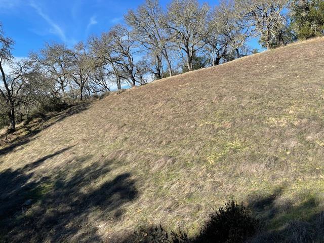 0 Poli Road Gilroy, CA 95020 - Photo 14 of 26 a view of a dry yard with trees