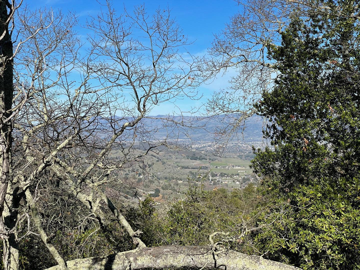 0 Poli Road Gilroy, CA 95020 - Photo 16 of 26 a view of a yard with a tree