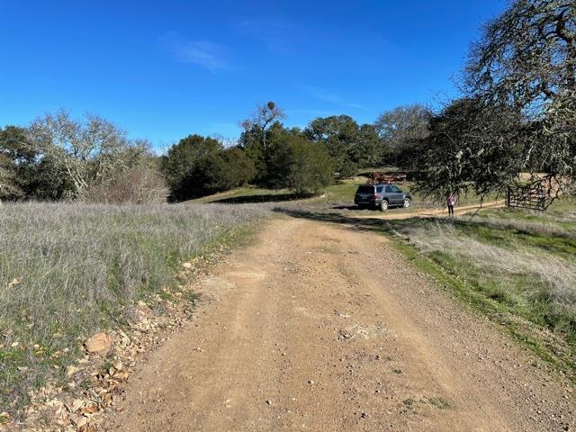 0 Poli Road Gilroy, CA 95020 - Photo 21 of 26 a view of a dry yard with trees