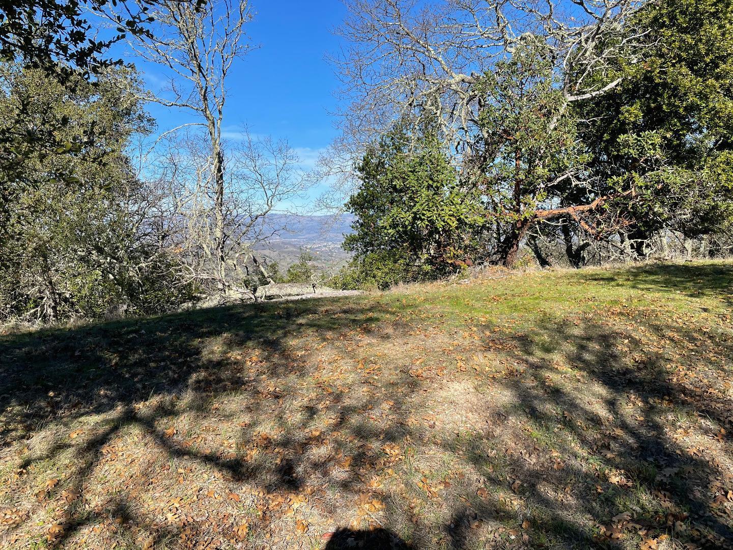 0 Poli Road Gilroy, CA 95020 - Photo 25 of 26 a view of a yard with large trees