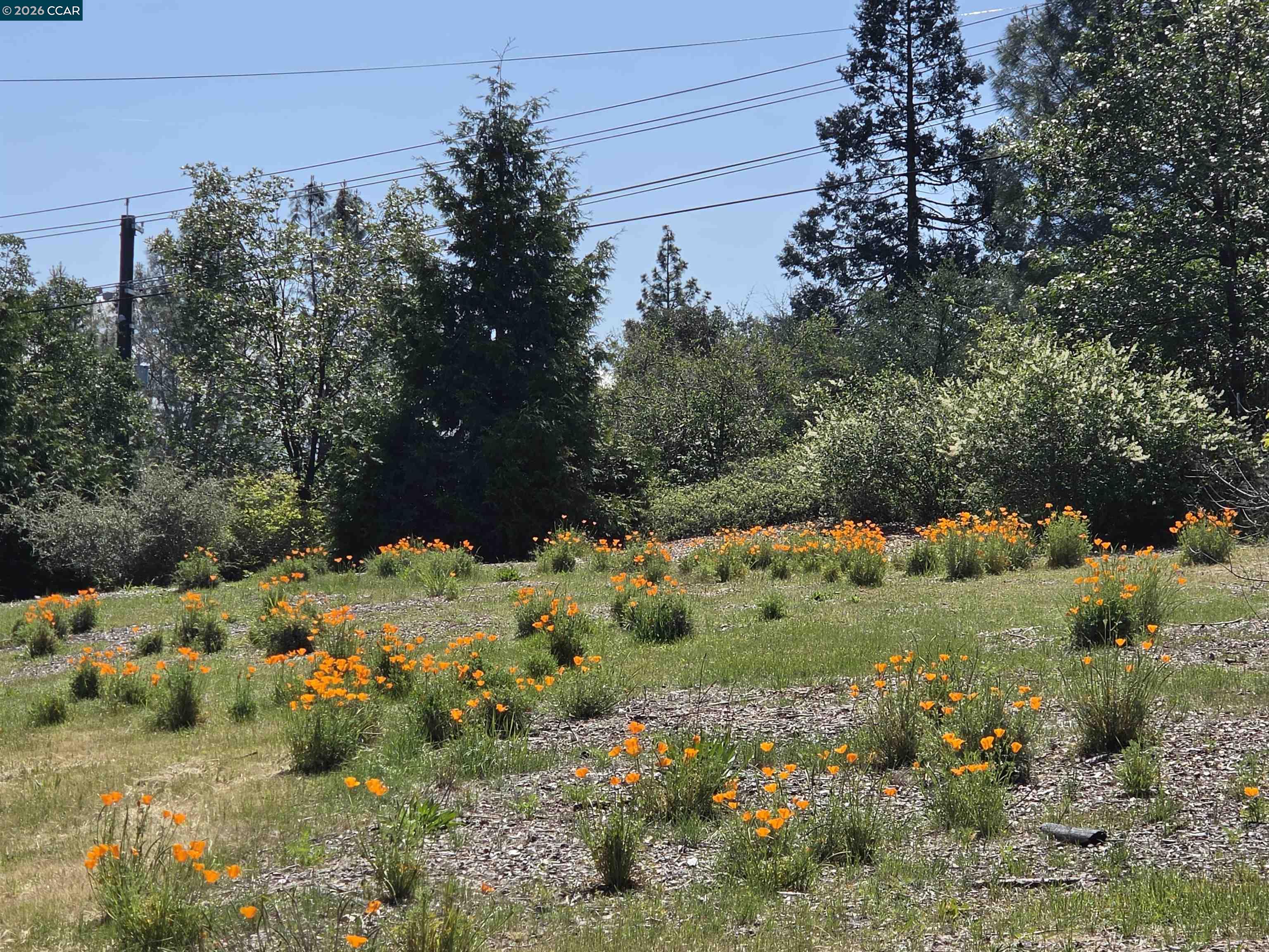 5184 Darby Russell Road Murphys, CA 95247 - Photo 52 of 56