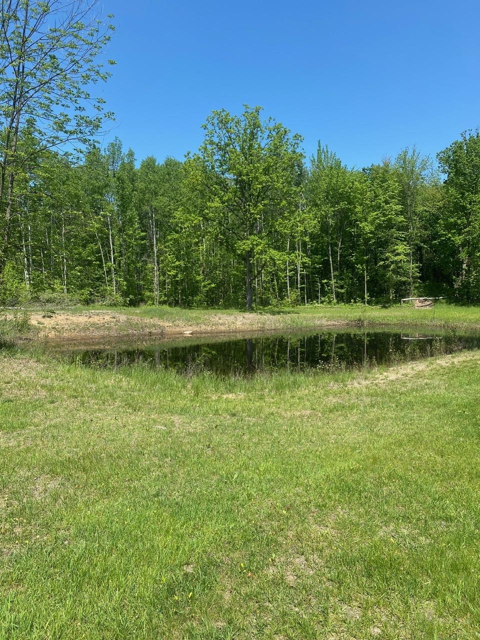 3302 Dana Road Coleman, MI 48618 - Photo 8 of 50