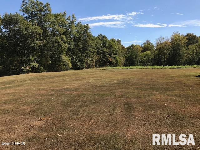 1344 Old Salem Road Kell, IL 62853 - Photo 23 of 25