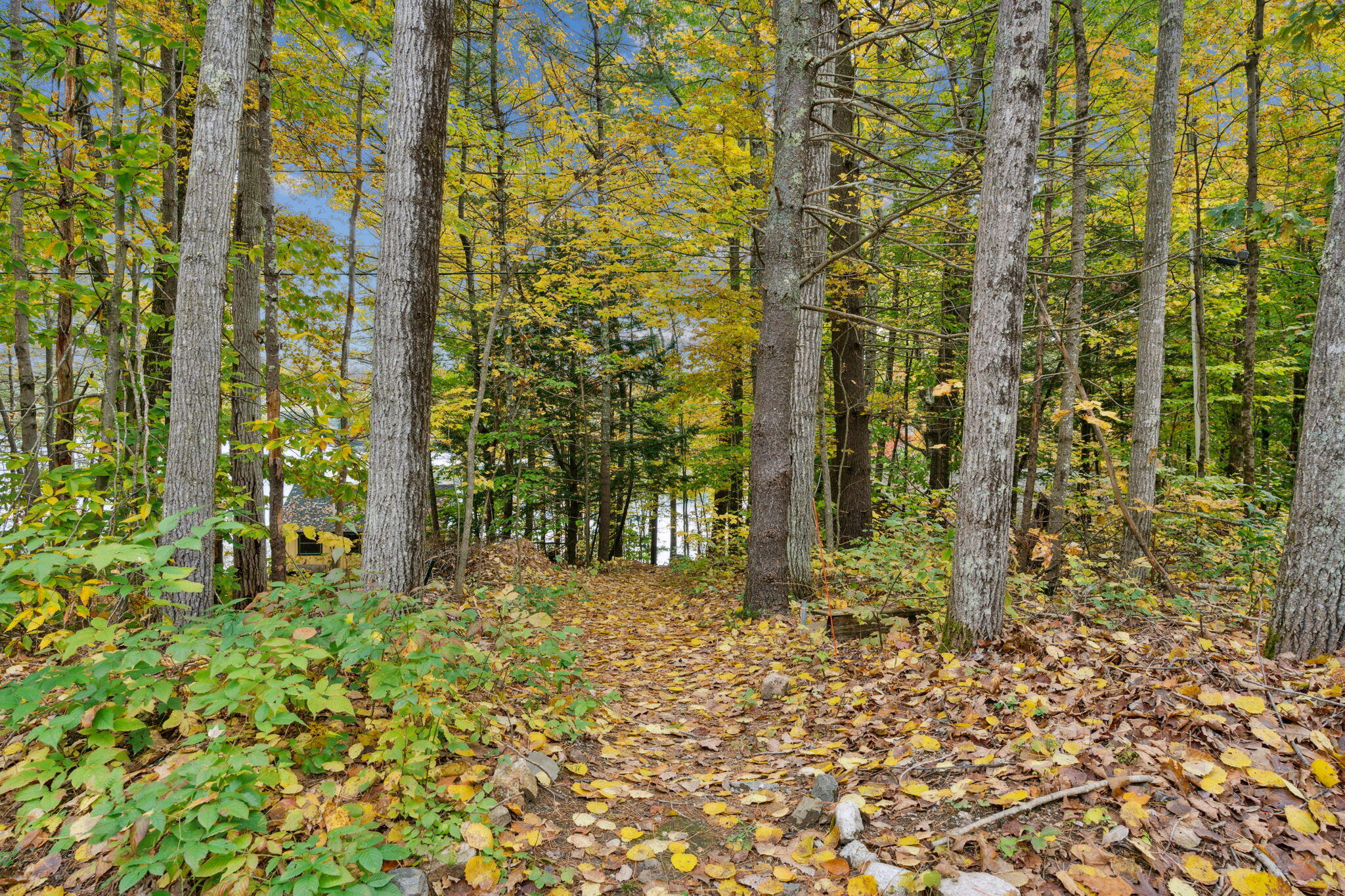 301 Raymond Hill Road Raymond, ME 04071 - Photo 45 of 47 20-web-or-mls-DSC07320