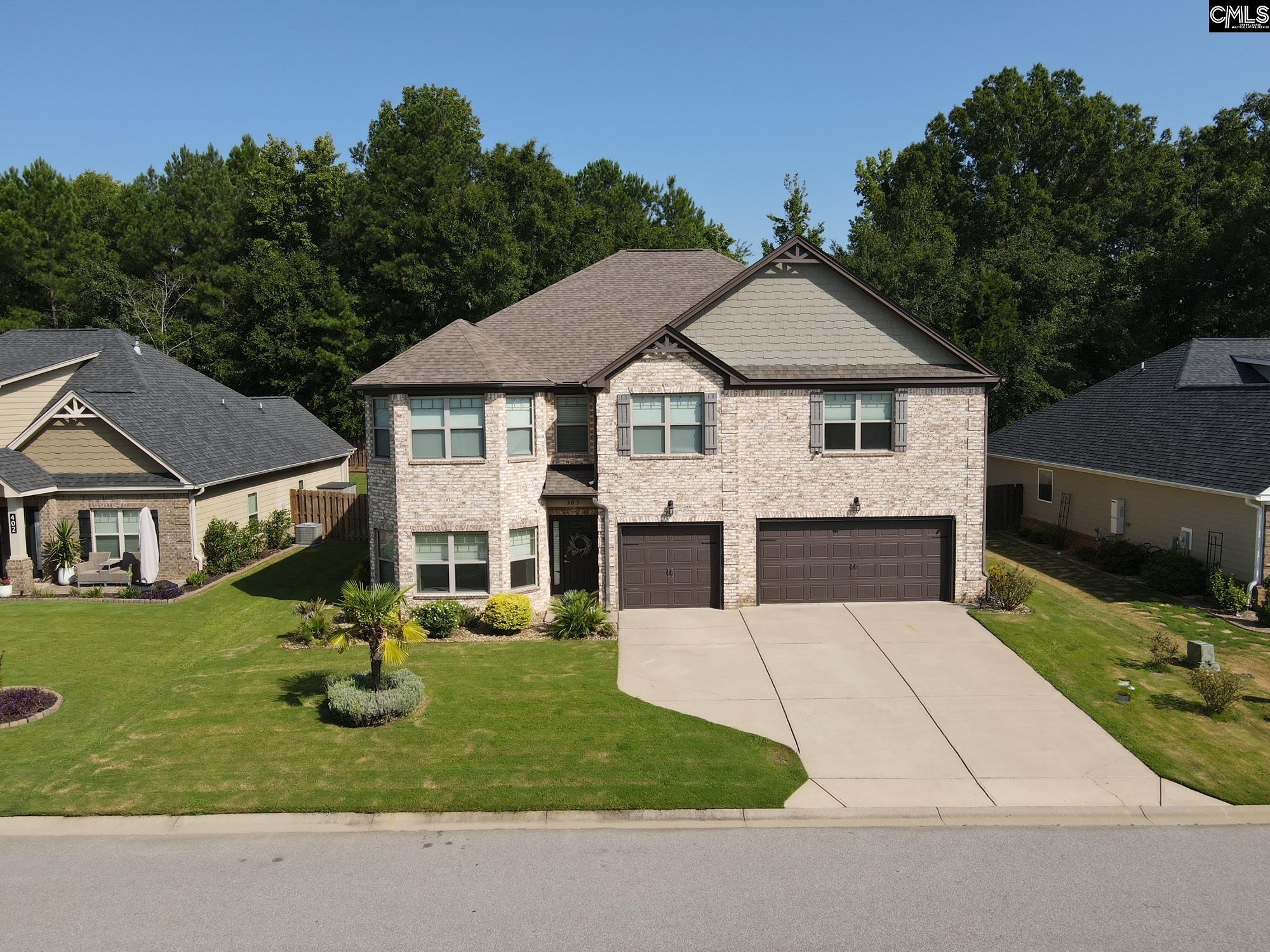 303 Lever Bottom Court Chapin, SC 29036 - Photo 2 of 45