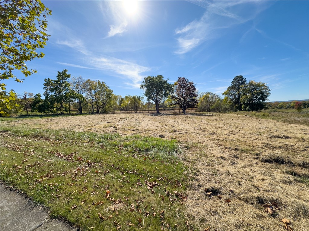 12 Cavalry Road Geneseo, NY 14454 - Photo 4 of 21