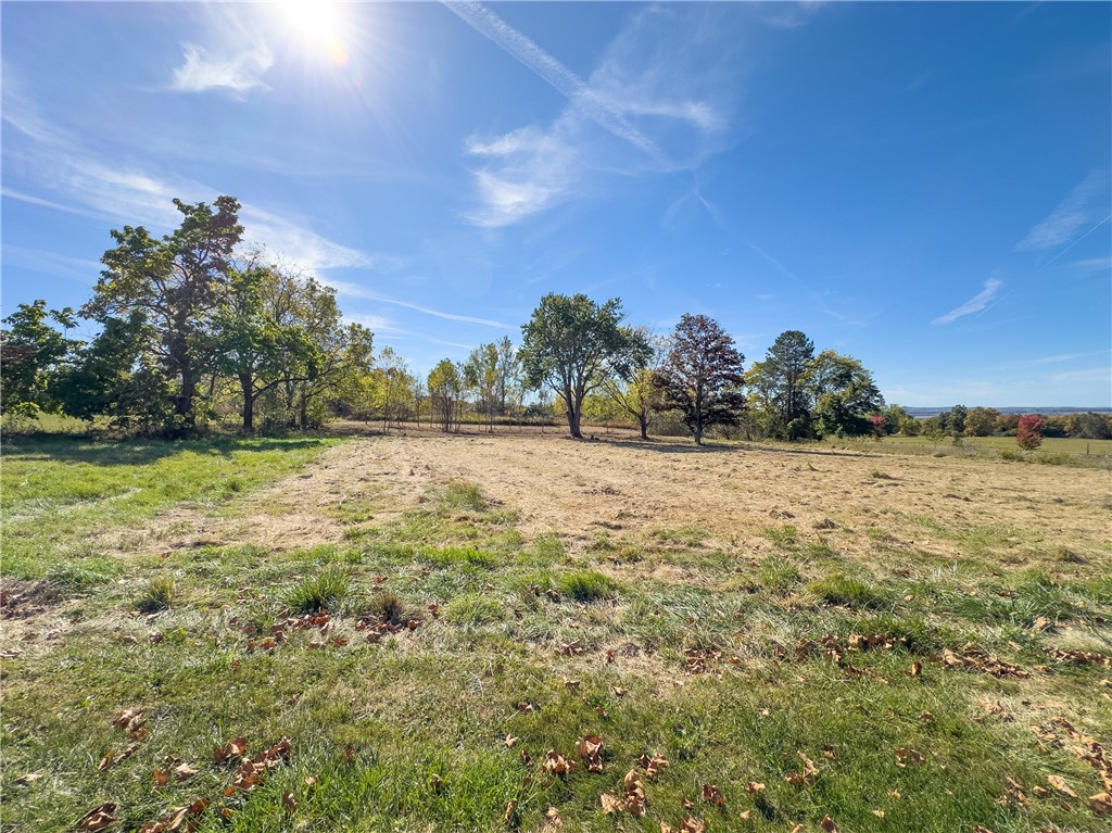 12 Cavalry Road Geneseo, NY 14454 - Photo 5 of 21