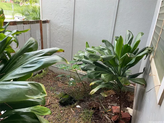 a plant with a plant sitting in front of a window