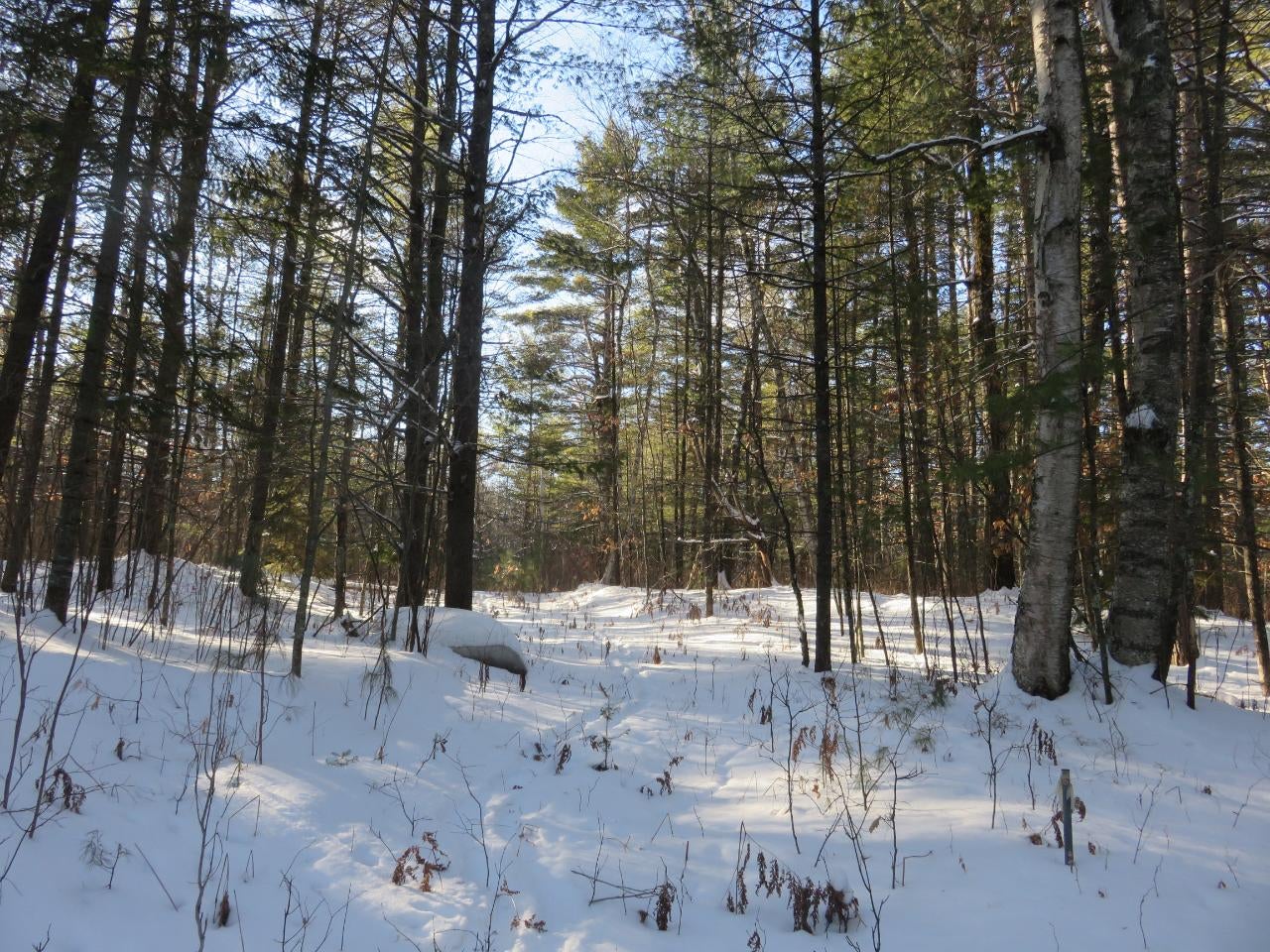 Off Marathon Road Manitowish Waters, WI 54545 - Photo 10 of 10 Gallery Image 10