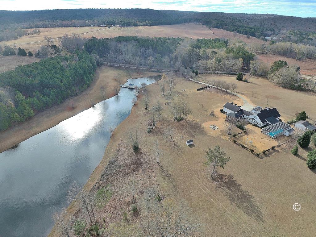 850 Phillips Road Warm Springs, GA 31830 - Photo 40 of 48 Gallery Image 40