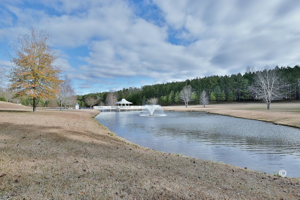 850 Phillips Road Warm Springs, GA 31830 - Photo 44 of 48 Gallery Image 44