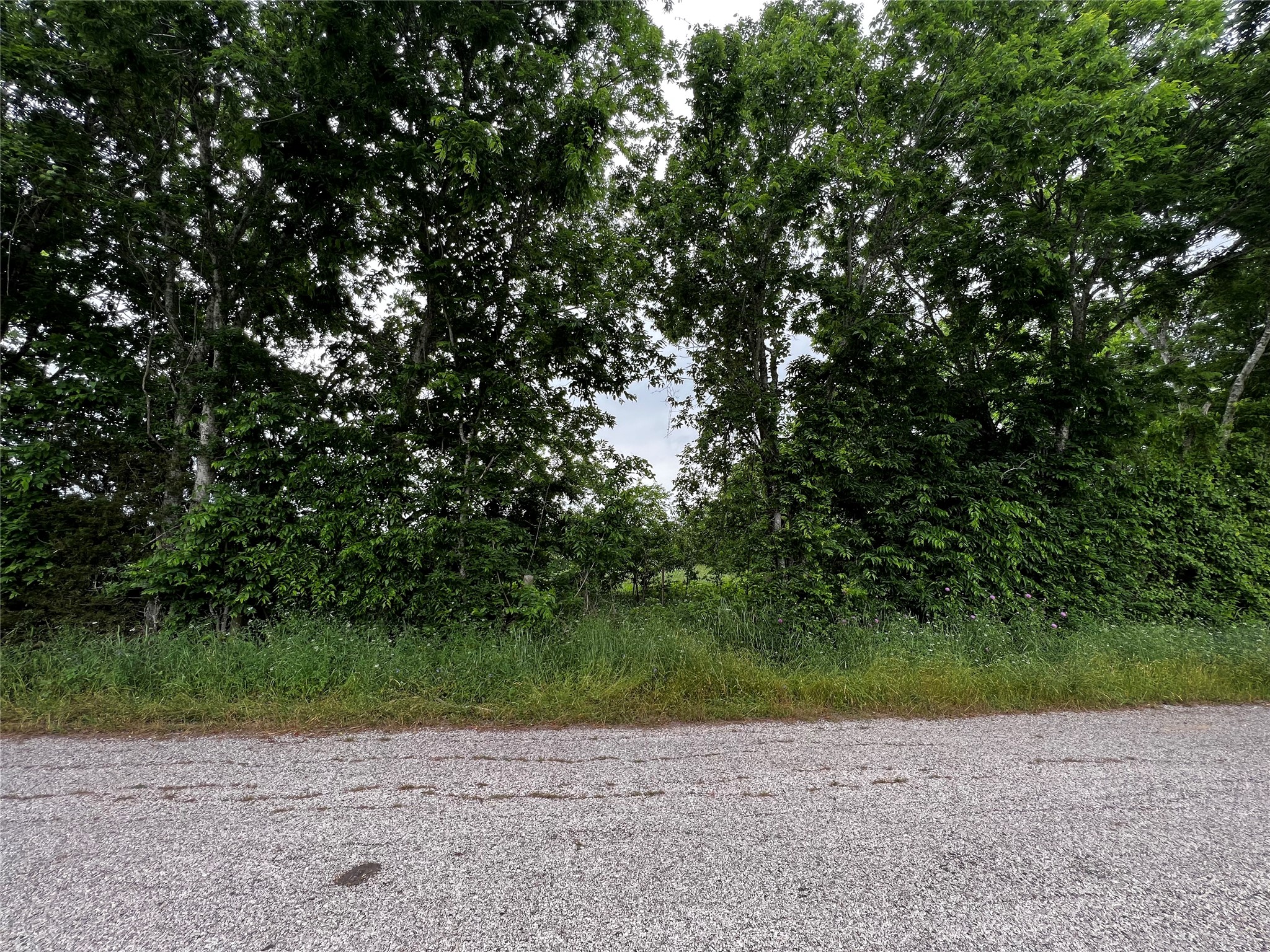 1 Old Phillipsburg Road Brenham, TX 77833 - Photo 6 of 7 a view of a road with a trees in the background