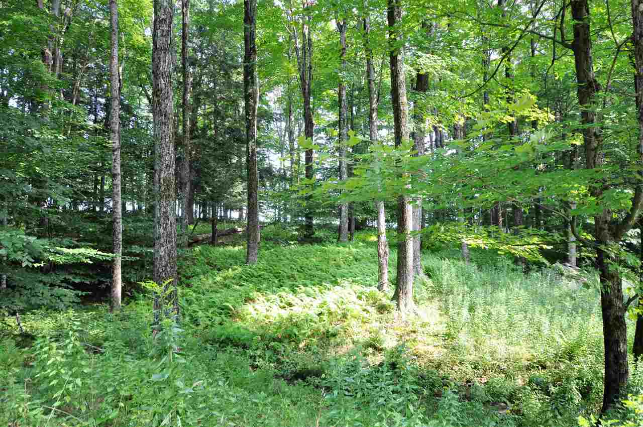 157 King Hill Road Readsboro, VT 05350 - Photo 37 of 39
