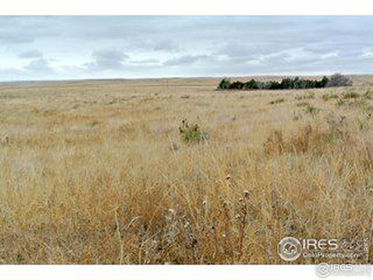 12 County Road Sterling, CO 80751 - Photo 11 of 14
