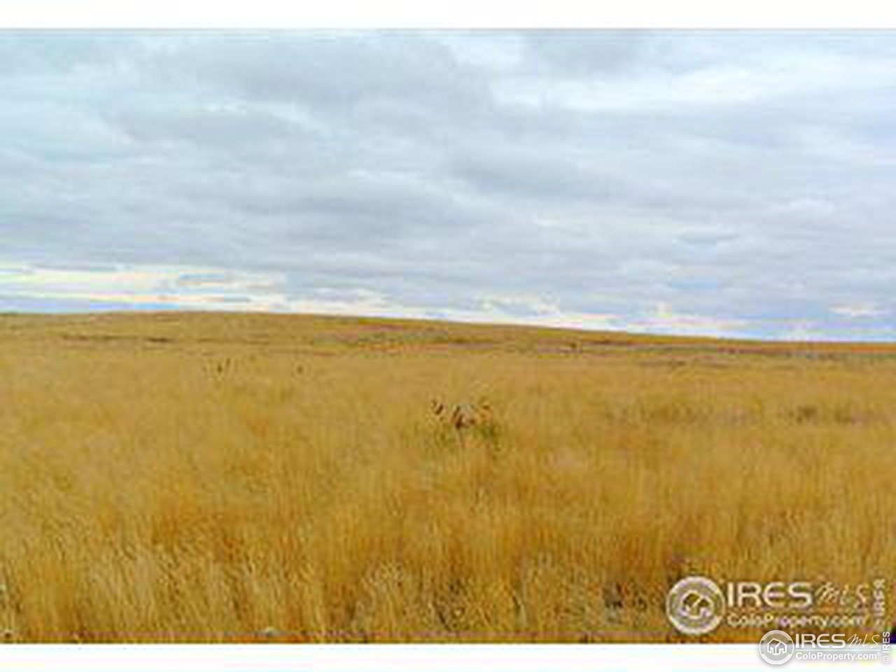 12 County Road Sterling, CO 80751 - Photo 14 of 14