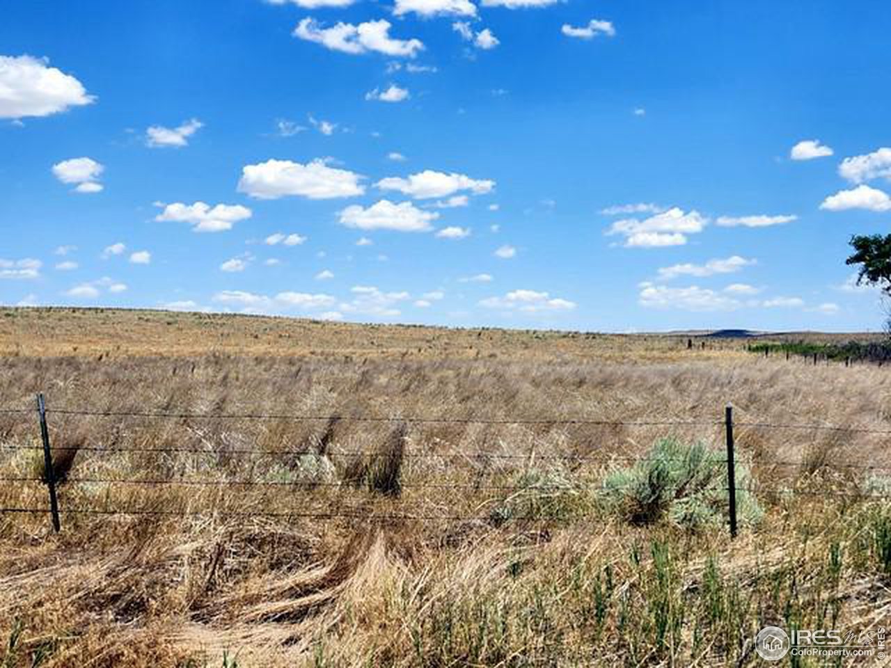 12 County Road Sterling, CO 80751 - Photo 2 of 14