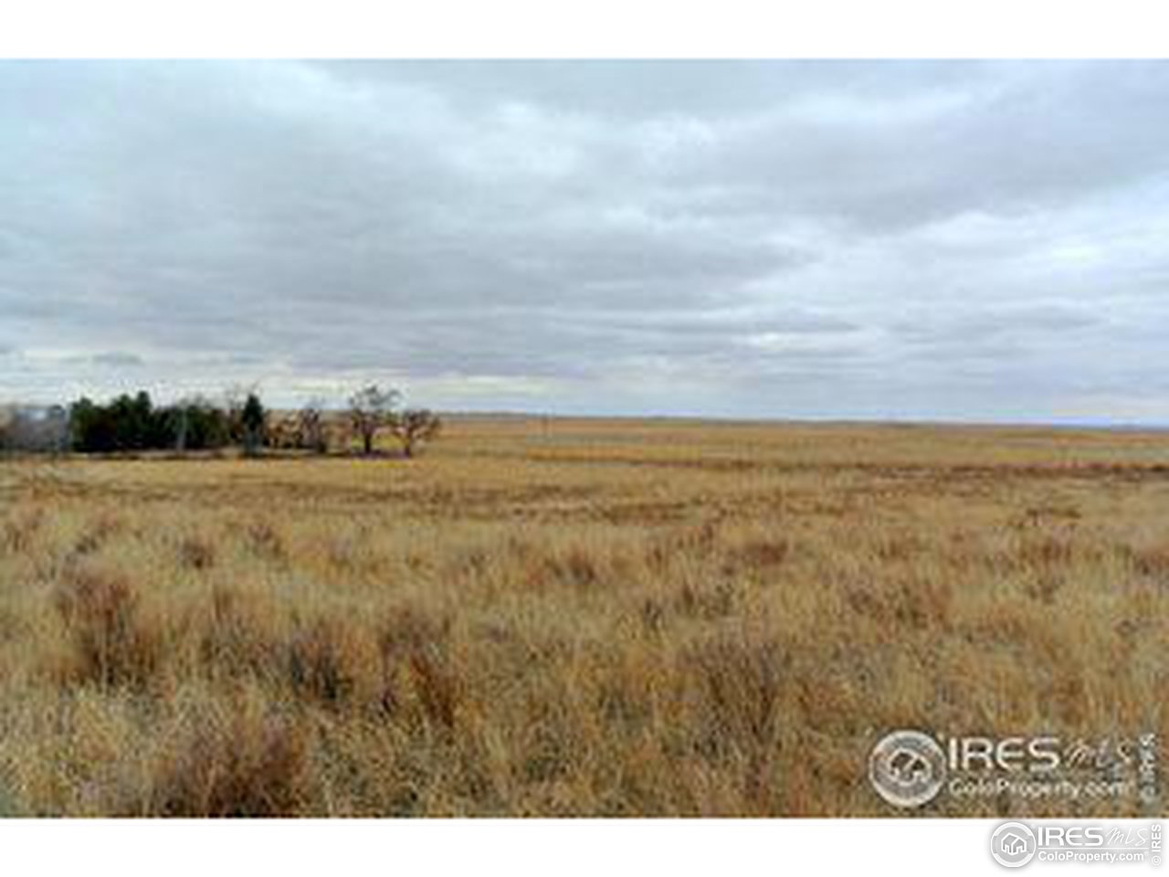 12 County Road Sterling, CO 80751 - Photo 8 of 14