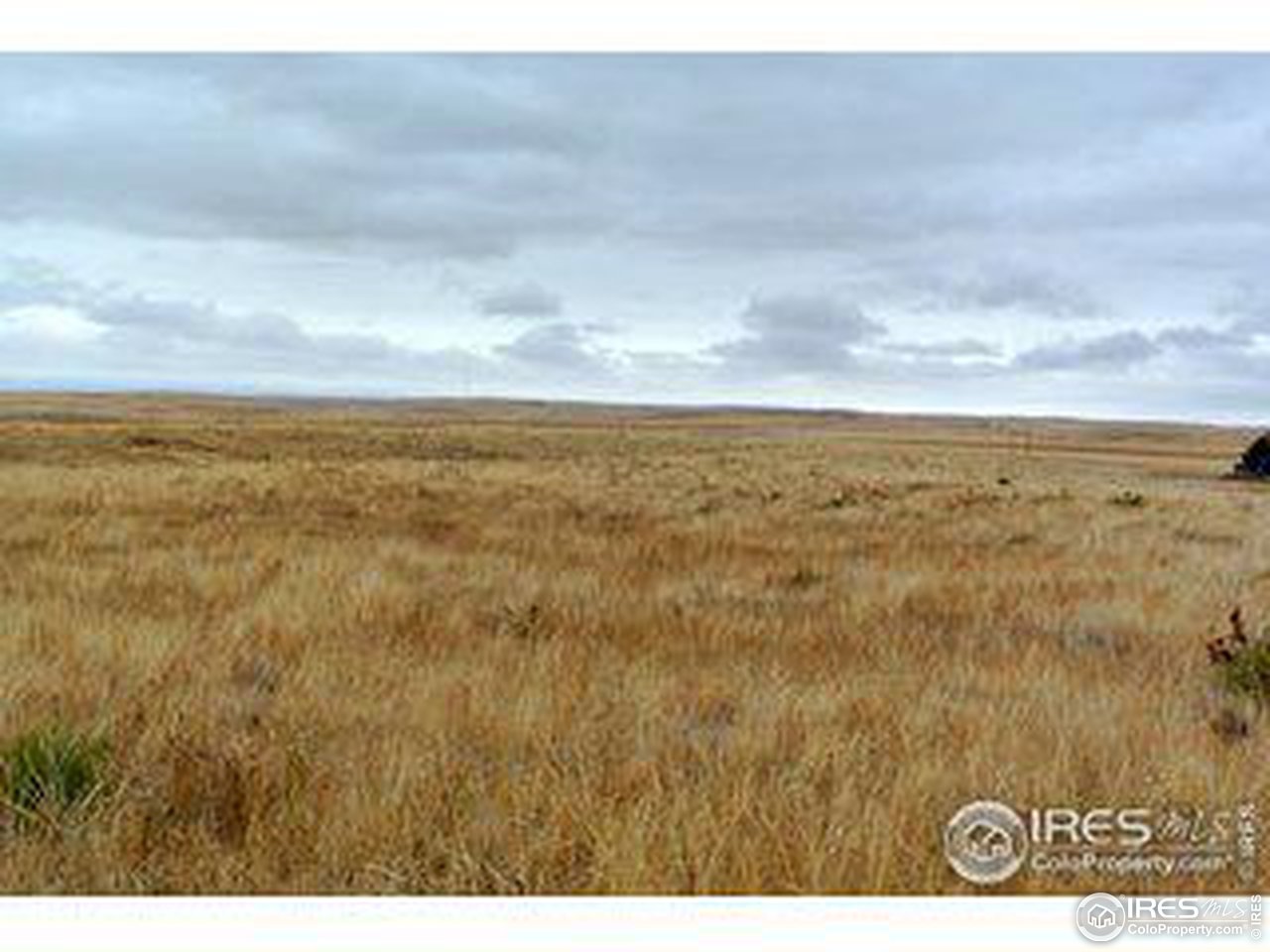 12 County Road Sterling, CO 80751 - Photo 9 of 14