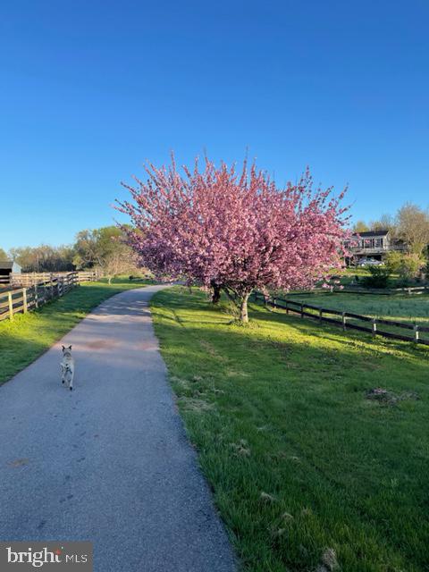 1404-1406 Pleasant View Road Adamstown, MD 21710 - Photo 101 of 113 Farm in Spring/Summer