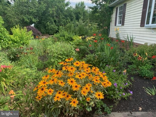 1404-1406 Pleasant View Road Adamstown, MD 21710 - Photo 109 of 113 Farm in Spring/Summer