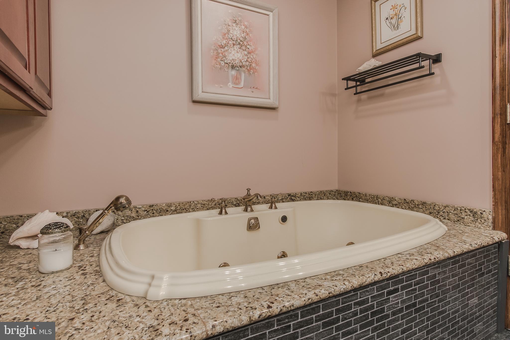 1404-1406 Pleasant View Road Adamstown, MD 21710 - Photo 61 of 113 Main Level Hall Bath