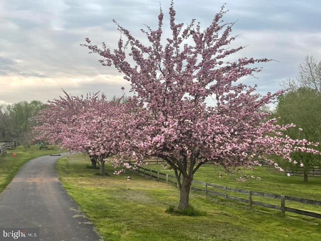 1404-1406 Pleasant View Road Adamstown, MD 21710 - Photo 100 of 113 Farm in Spring/Summer