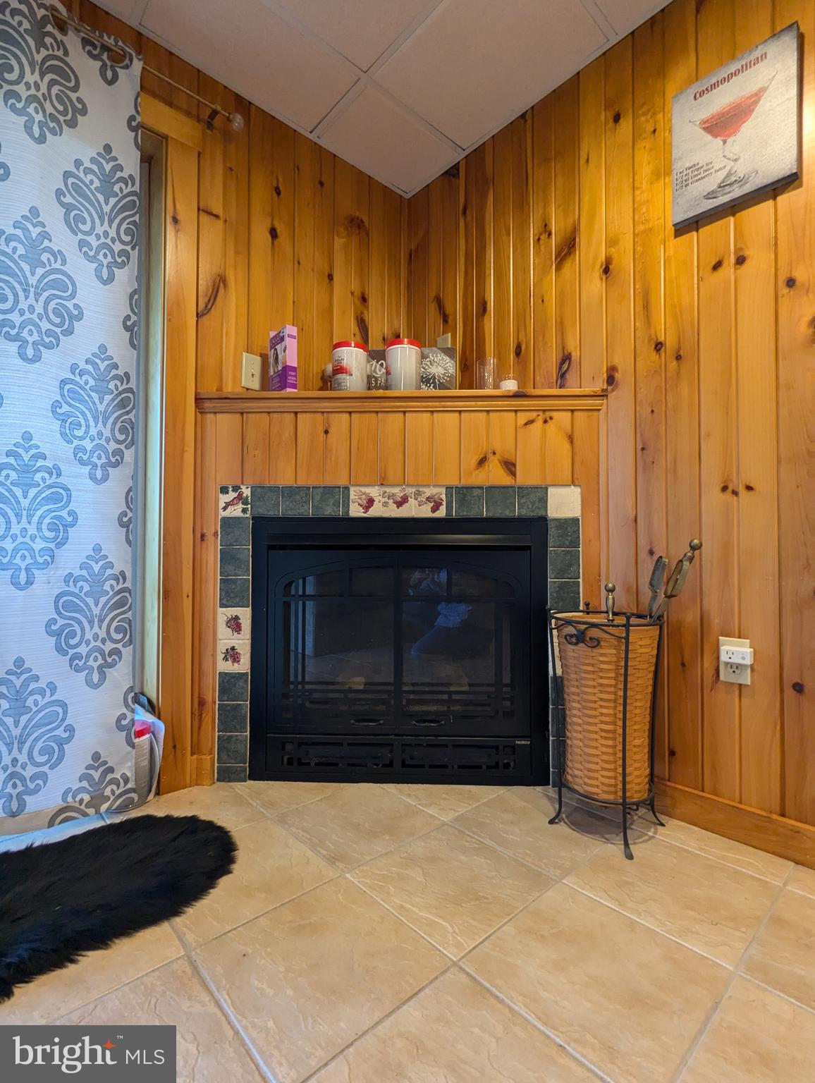4767 Ore Bank Road Hellam, PA 17406 - Photo 50 of 82 Fireplace Lower Level