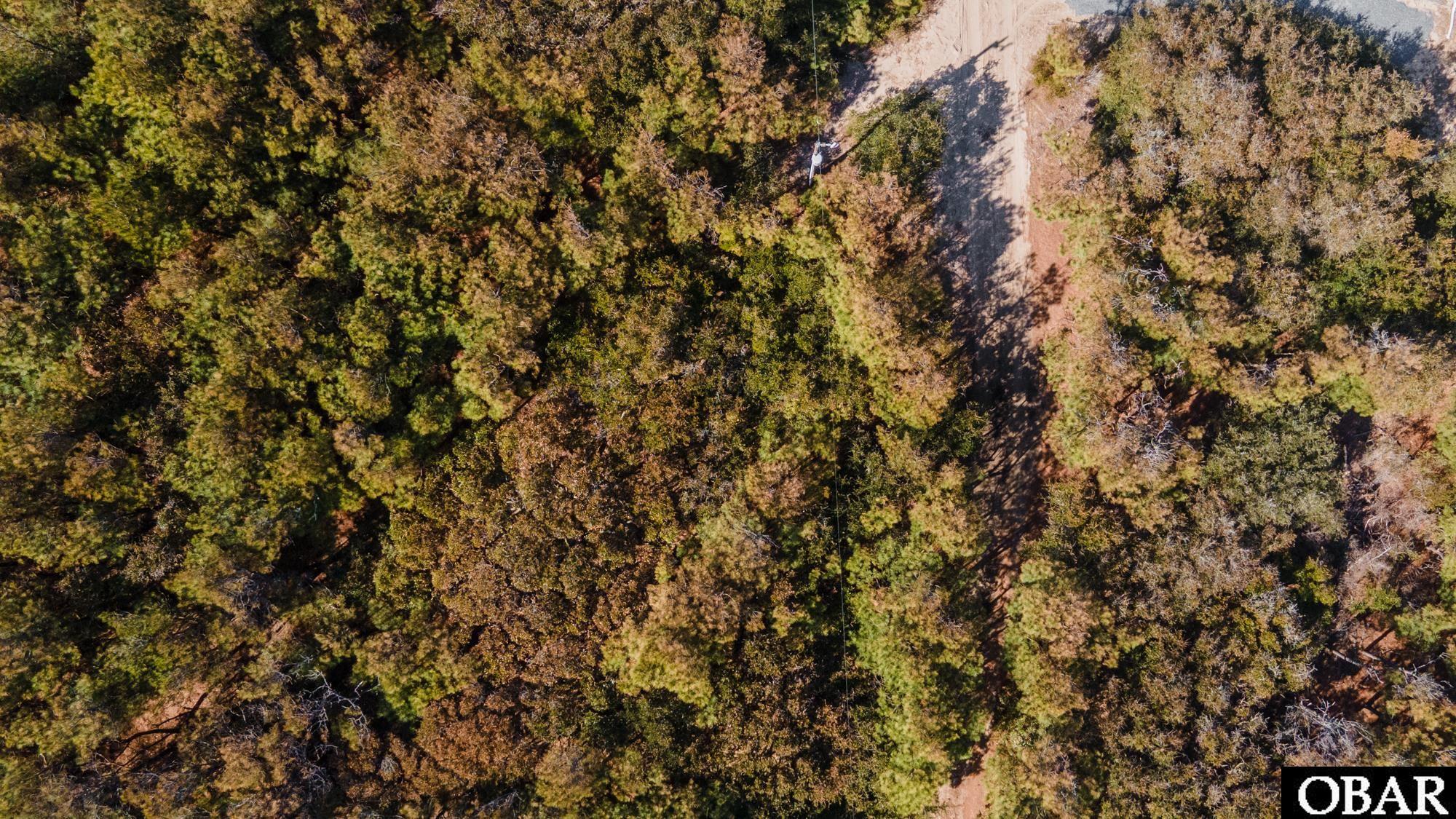 2314 Sandpiper Road Corolla, NC 27927 - Photo 11 of 12