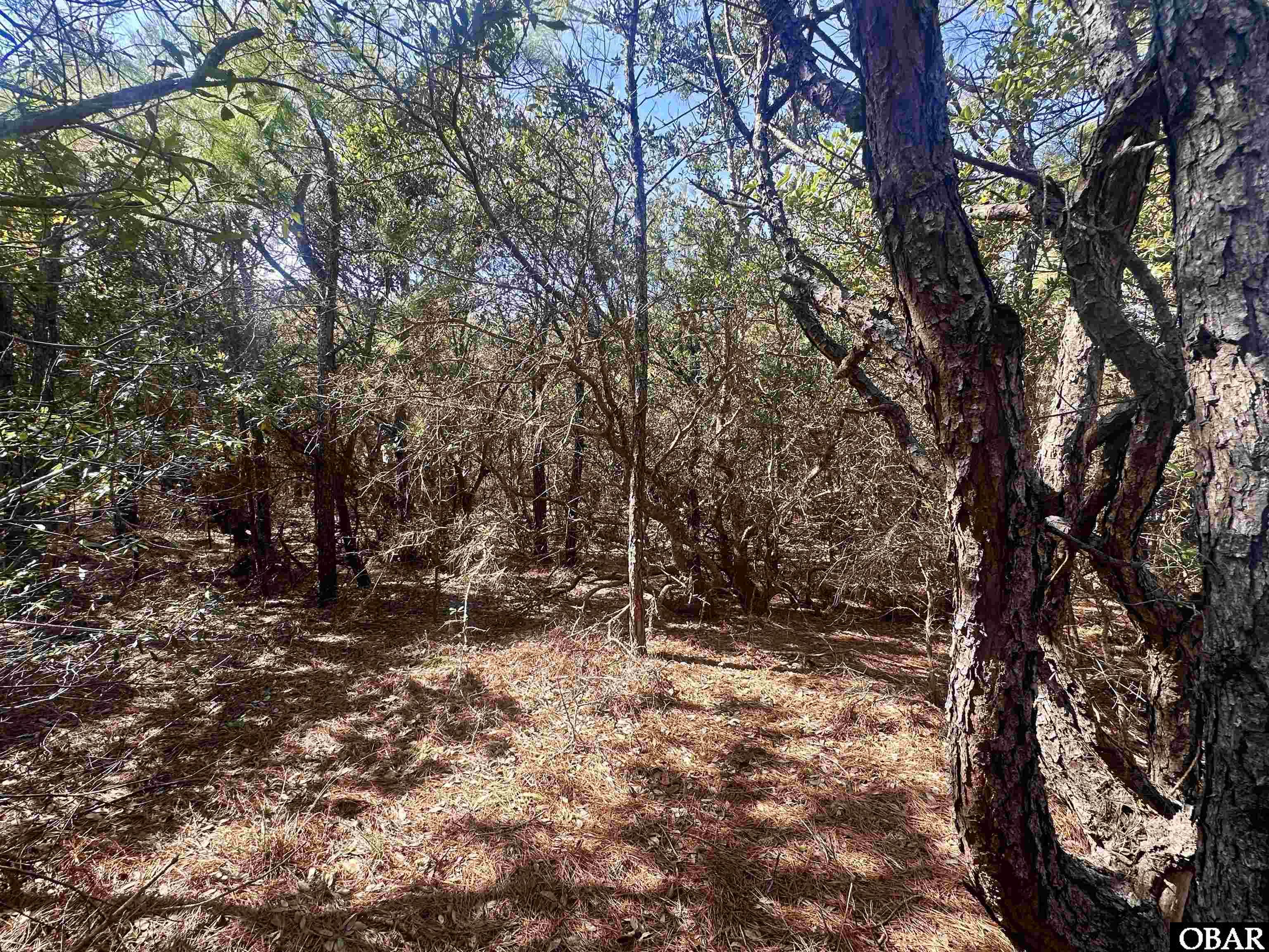 2314 Sandpiper Road Corolla, NC 27927 - Photo 8 of 12