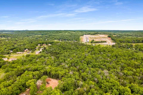 a view of a big yard with lots of bushes