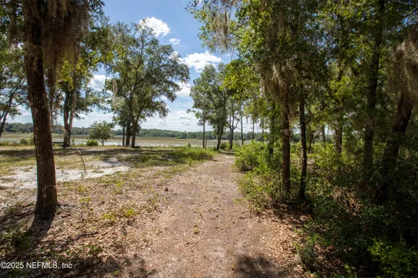 a view of yard with trees