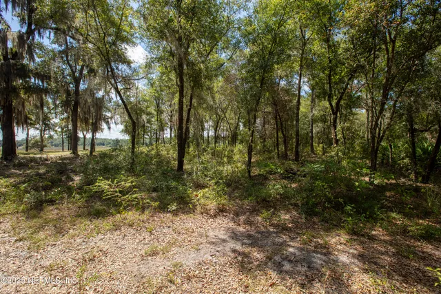 a view of outdoor space with trees