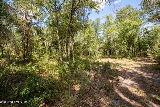a view of yard with green space